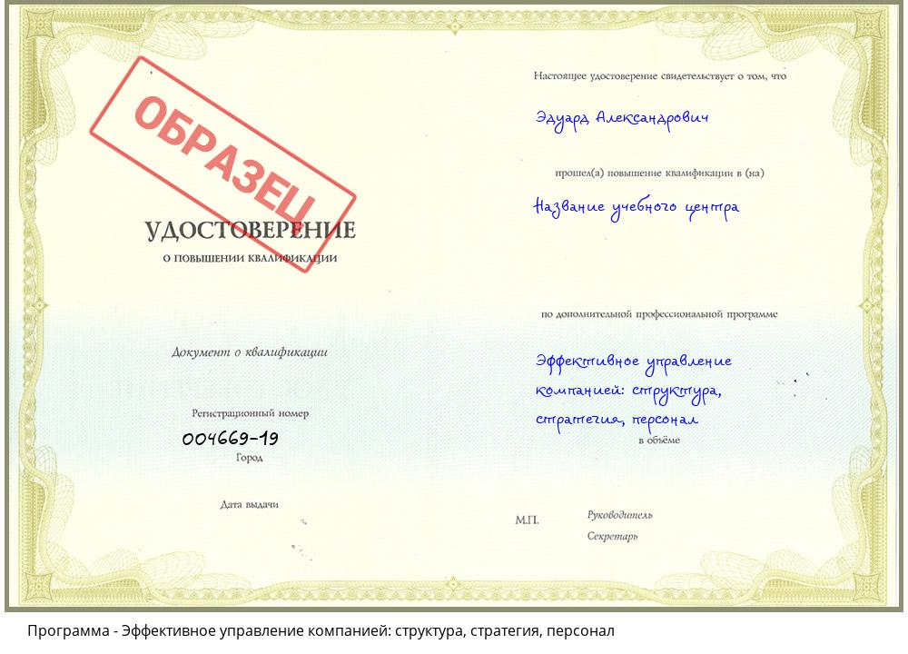 Эффективное управление компанией: структура, стратегия, персонал Серов