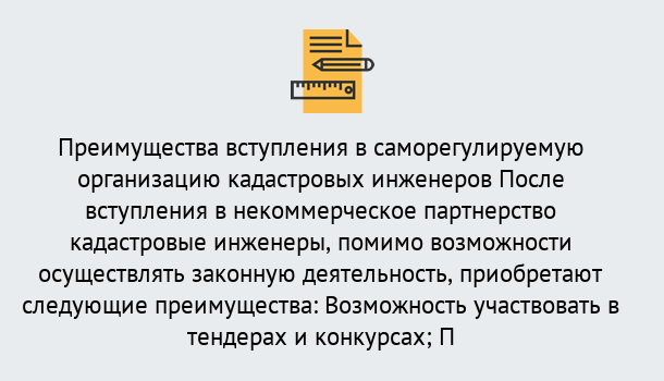 Почему нужно обратиться к нам? Серов Что дает допуск СРО кадастровых инженеров?