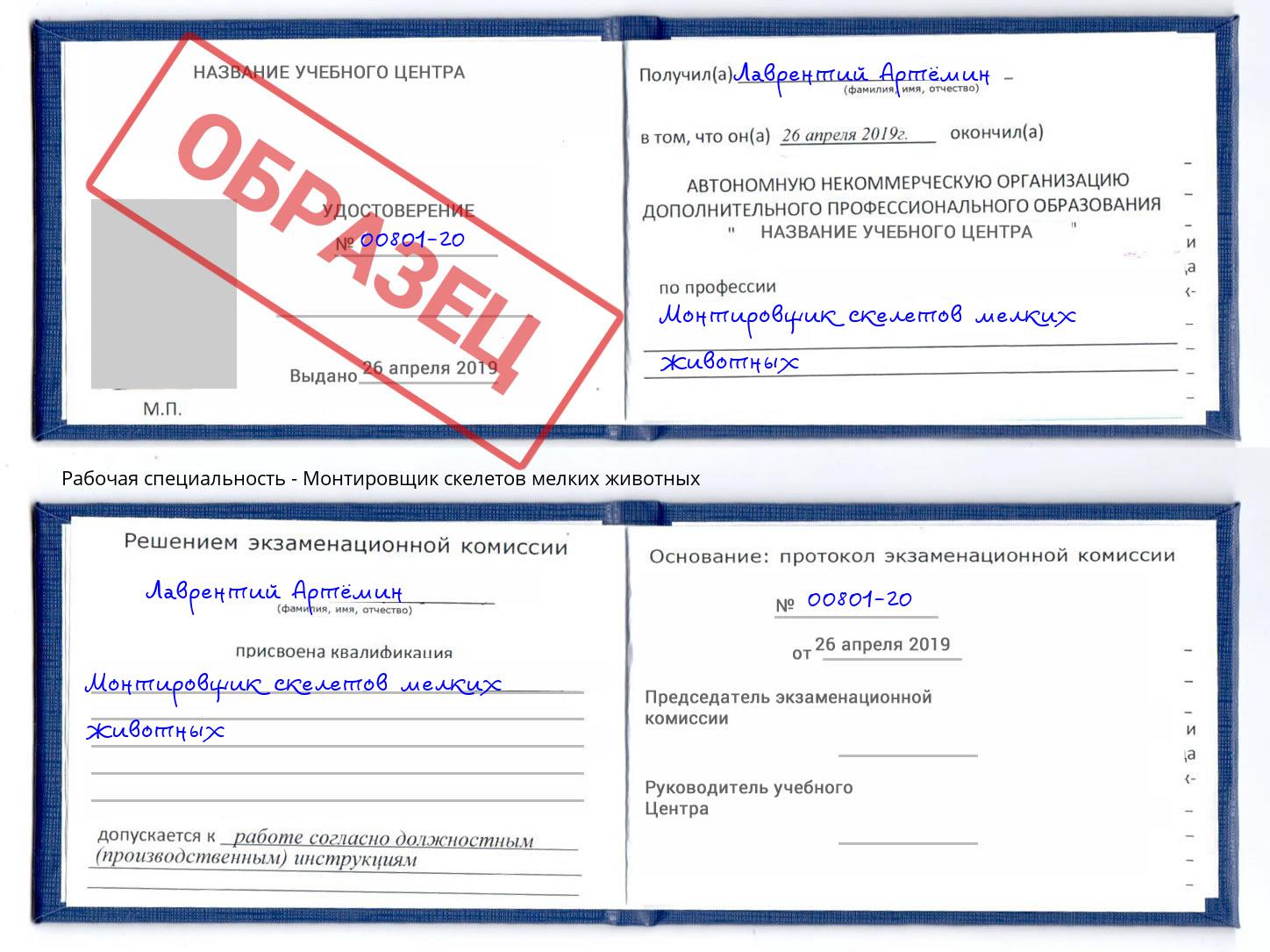 Монтировщик скелетов мелких животных Серов