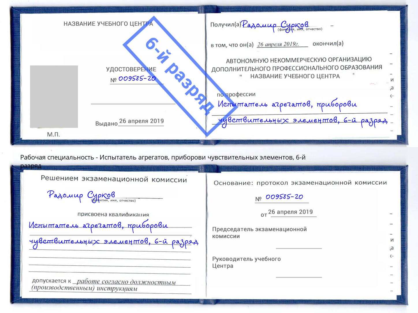 корочка 6-й разряд Испытатель агрегатов, приборови чувствительных элементов Серов