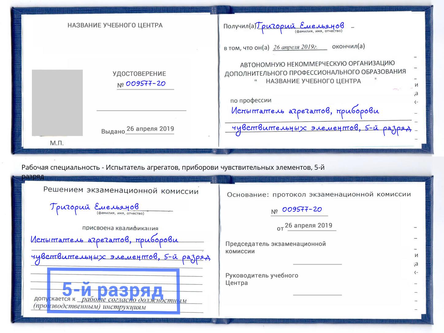 корочка 5-й разряд Испытатель агрегатов, приборови чувствительных элементов Серов