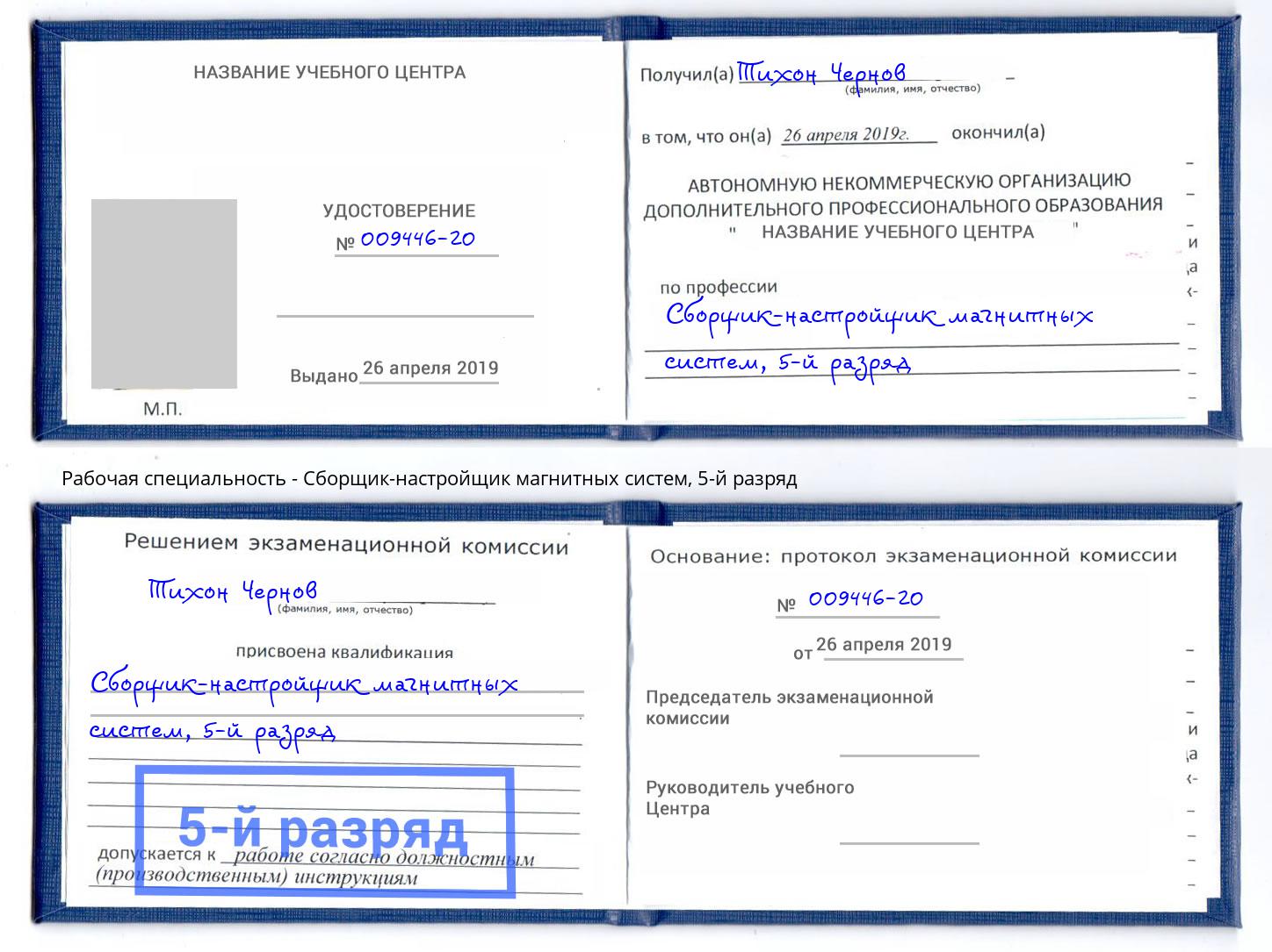 корочка 5-й разряд Сборщик-настройщик магнитных систем Серов