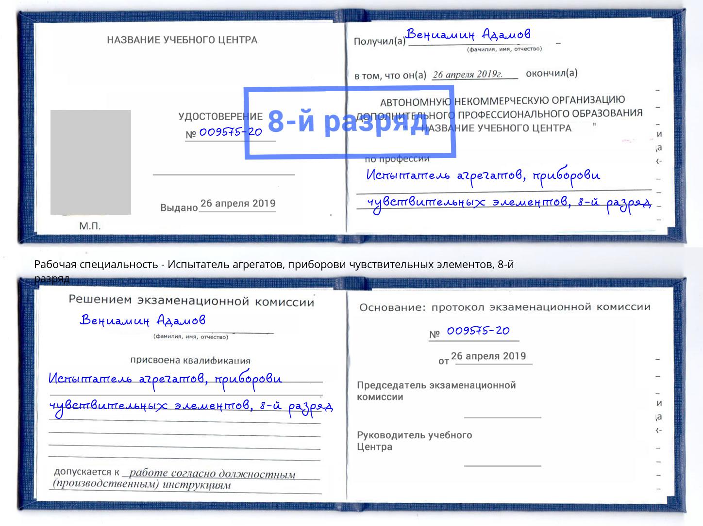 корочка 8-й разряд Испытатель агрегатов, приборови чувствительных элементов Серов